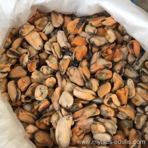 seafood frozen fresh iqf mussel meat Mytilus Edulis